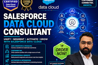 be your salesforce data cloud consultant