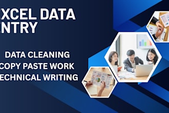do professional excel data entry, data cleaning and technical writing