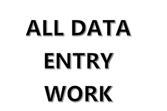 do all type setting, data entry work