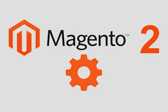 develop a premium magento store