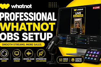 set up professional whatnot obs stream for live auctions