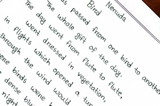 do neat handwriting and copy typing