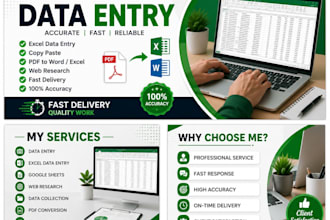 do accurate data entry, excel , copy paste and typing