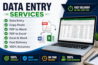 do accurate data entry, copy paste, excel and word work