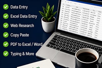 do fast data entry in 24hours
