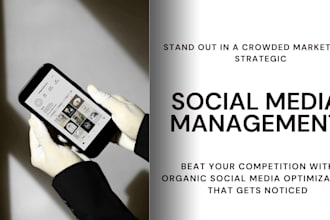 be your organic social media manager and instagram manager