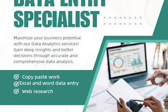 do professional data entry,copy paste and web reserch work
