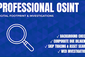 perform professional osint investigation