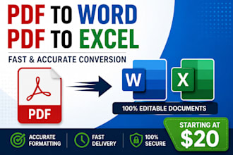 professional PDF to word and excel conversion service