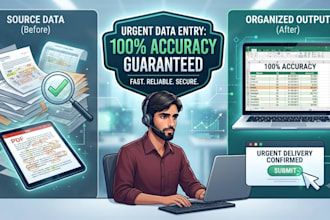 complete your urgent data entry task with 100 accuracy