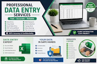 do manual data entry, data cleaning, copy paste, excelsheets