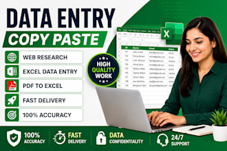 do accurate data entry, copy paste, web research and excle data entry