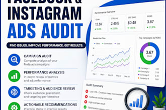 audit and optimize facebook and instagram ads