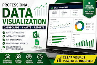 create professional excel dashboards, charts, and data visualizations