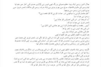 translate urdu documents in englsh accurately
