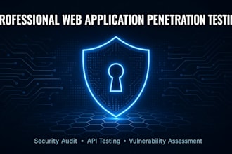 do professional web application penetration testing and security audit
