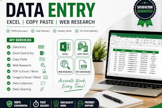 accurate data entry, excel, copy paste and web research