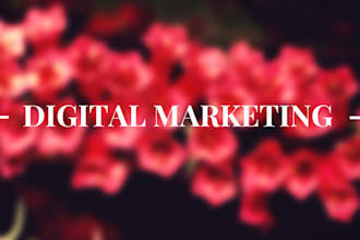 write email marketing content