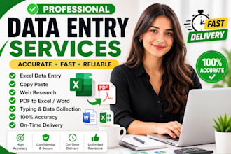 do accurate data entry excel copy paste and typing