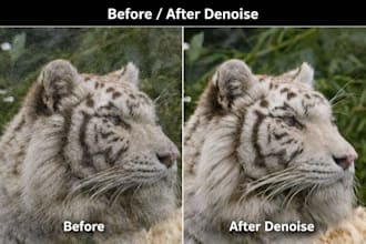 denoise and enhance your photography