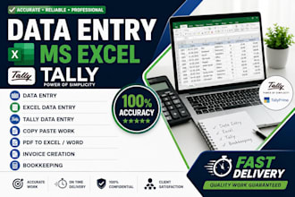 do accurate data entry, excel, tally and accountant