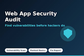audit your web app for security vulnerabilities