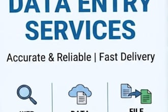 manual data entry, web research and excel tasks efficiently