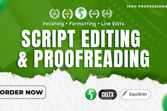 line edit and polish your screenplay or script to industry standard