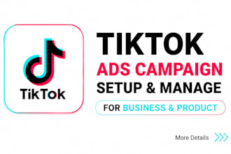 setup tiktok ads campaign, tiktok ads manager, tiktok advertising