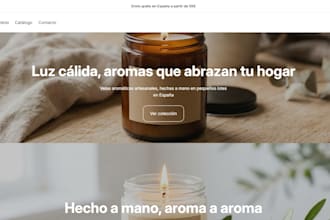 creo tu tienda shopify profesional para dropshipping o tu marca