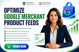 optimize google merchant center product feed and shopping ads setup