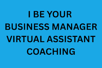 be your professional business mentor, virtual assistant, business consultant