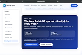 perform a professional website QA review before launch