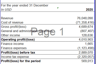 prepare monthly financial statements and cash flow reports