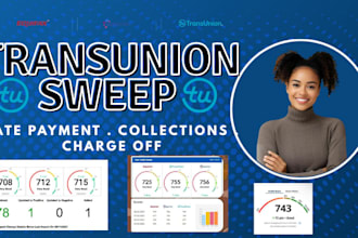 do professional DIY credit sweep support transunion sweep in 24 hours