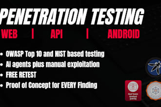 perform web, api and android penetration testing
