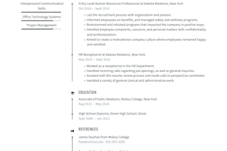 write and optimize an ats resume
