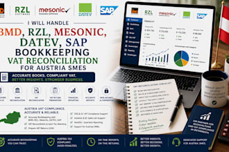 handle bmd rzl mesonic datev sap bookkeeping vat reconciliation for austria smes