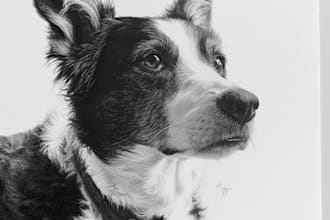 create an elegant japanese memorial pet portrait from photo