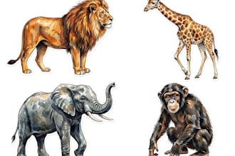 draw cute and artistic animal illustration