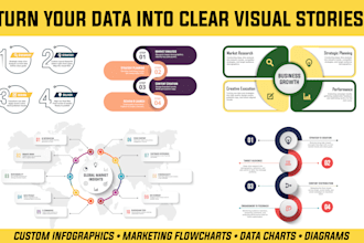 design custom infographics and chart diagrams