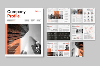 design a professional brochure, flyer and company profile