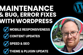 provide professional monthly wordpress maintenance, error fix and data security