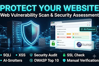 professional web vulnerability scan and security assessment for your website
