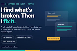 audit your wordpress site and fix SEO issues