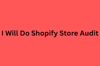 do shopify store audit