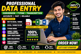 do PDF to excel word conversion, typing and audio video transcription
