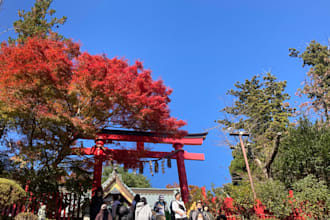 provide native japanese language support