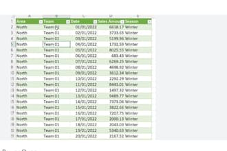 excel data cleaning and formatting