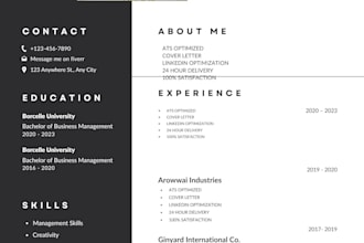 write a professional CV and resume for job applications